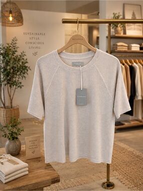 NWT Everlane Oatmeal Heather Waffle Knit Raglan Short Sleeve Top M